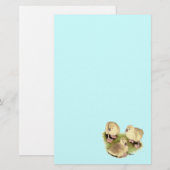 Goslings: Buff African Briefpapier (Vorne/Hinten)