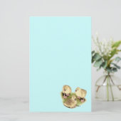 Goslings: Buff African Briefpapier (Stehend Vorderseite)