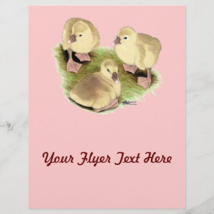 Goslings: Buff African Flyer