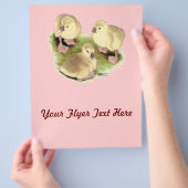 Goslings: Buff African Flyer (Hand)