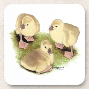 Goslings: Buff African Getränkeuntersetzer