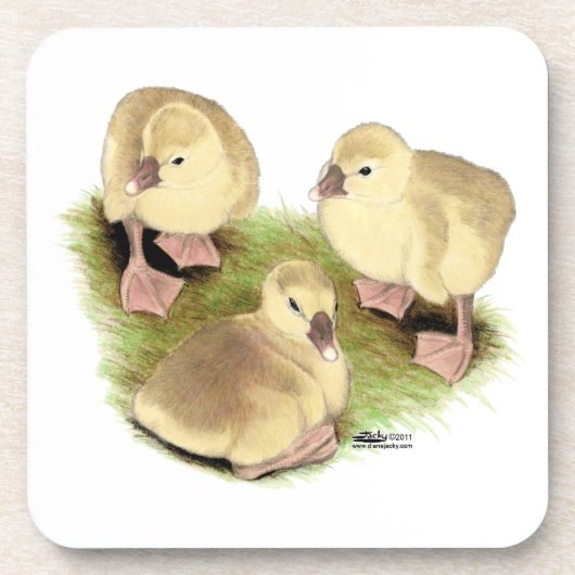 Goslings: Buff African Getränkeuntersetzer (Vorderseite)