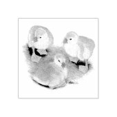 Goslings: Buff African Gummistempel (Prägung)