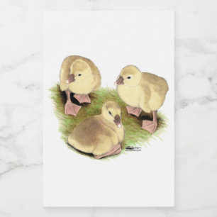 Goslings: Buff African Lebensmitteletikett