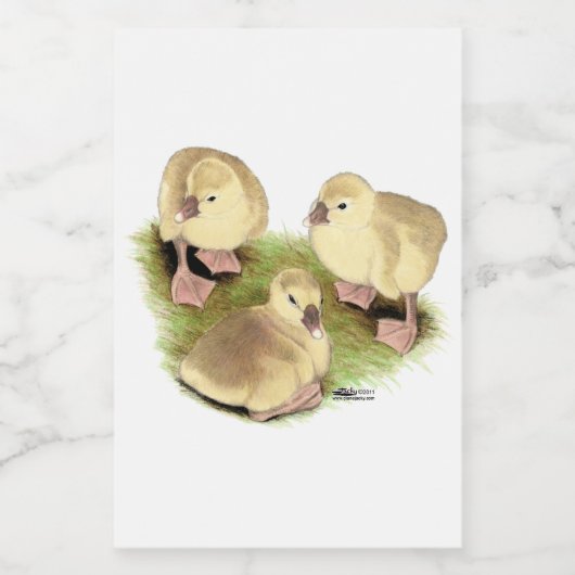 Goslings: Buff African Lebensmitteletikett (Einzelnes Label)