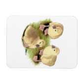 Goslings:  Buff African Magnet (Horizontal)
