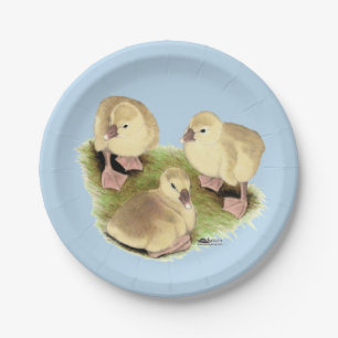 Goslings: Buff African Pappteller
