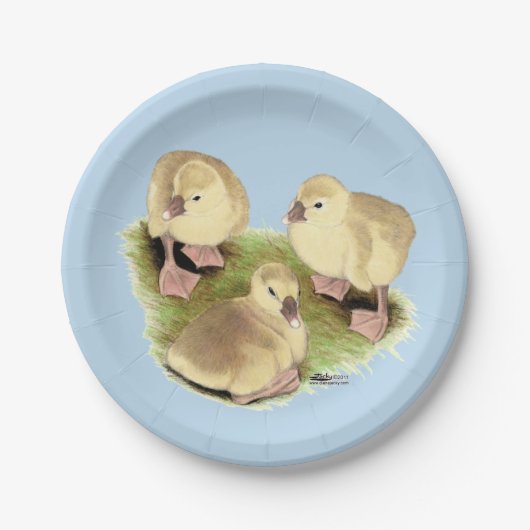 Goslings: Buff African Pappteller (Vorderseite)
