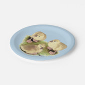 Goslings: Buff African Pappteller (Schrägansicht)