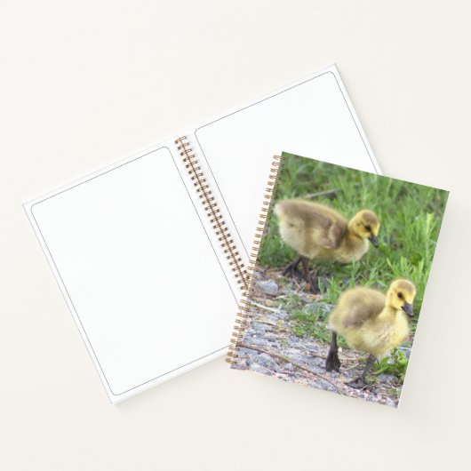 Goslings Foto Notebook Notizblock (Innenseite)
