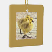 Goslings Foto Ornament (Rechts)