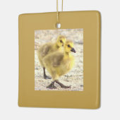 Goslings Foto Ornament (Links)