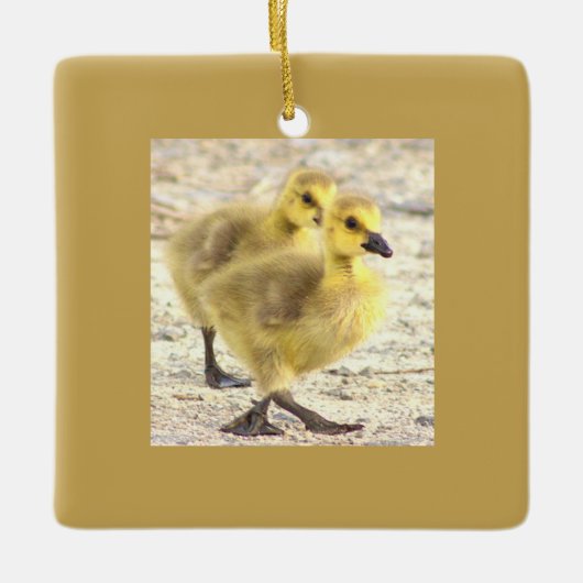 Goslings Foto Ornament (Vorderseite)