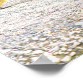 Goslings Foto Poster (Ecke)