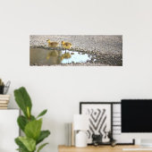 Goslings Foto Poster (Heimbüro)