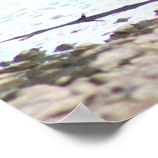 Goslings Foto Poster (Ecke)