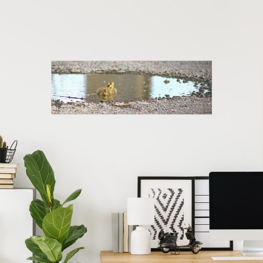 Goslings Foto Poster (Heimbüro)