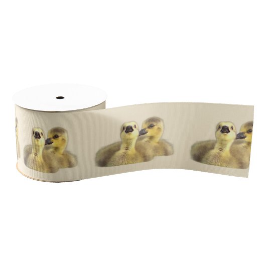 Goslings Foto Ribbon Ripsband