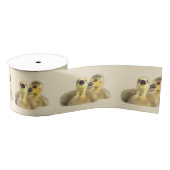 Goslings Foto Ribbon Ripsband (Spule)