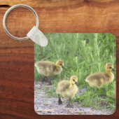 Goslings Foto Schlüsselanhänger (Vorderseite)