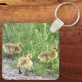 Goslings Foto Schlüsselanhänger (Rückseite)