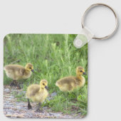 Goslings Foto Schlüsselanhänger (Rückseite)