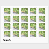 Goslings Foto Stickers (Blatt)