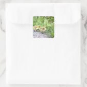 Goslings Foto Stickers (Tasche)
