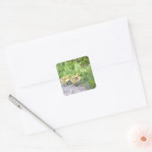 Goslings Foto Stickers (Umschlag)