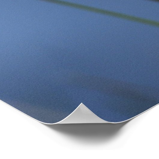 Goslings im Frühling Poster (Ecke)