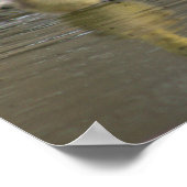 Goslings in Puddle Poster (Ecke)