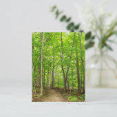 Gosnell Big Woods Webster, New Postkarte (Stehend Vorderseite)