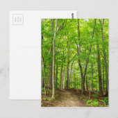 Gosnell Big Woods Webster, New Postkarte (Vorne/Hinten)