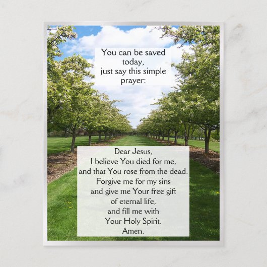 Gospel Tract Flyer (Hinten)