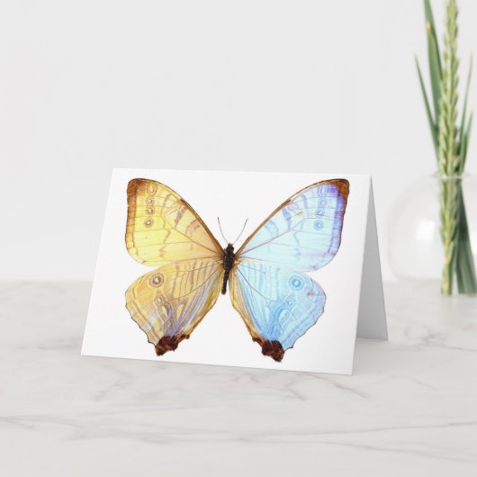 Gossamer Blue Butterfly Wings Note Birthday Card Karte (Vorderseite)
