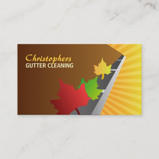 Gosse-Reinigungs-Visitenkarten Visitenkarte (Vorderseite)