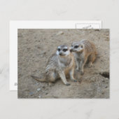 Gossip Postcard Postkarte (Vorne/Hinten)