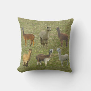 Got Alpacas? Kissen