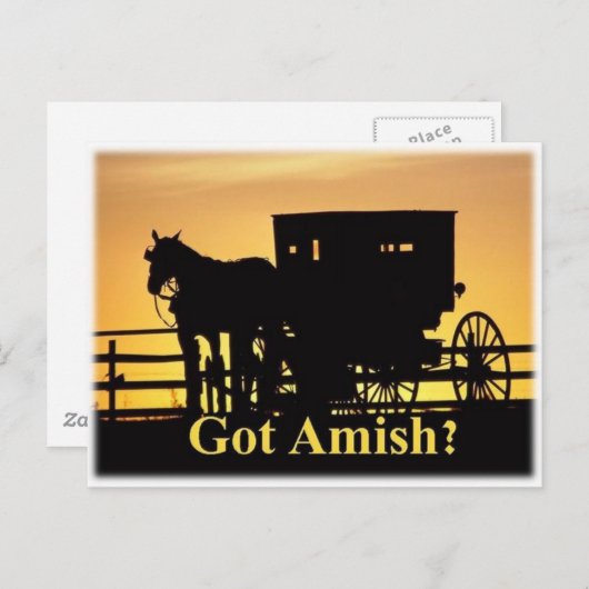 Got Amish? Postkarte (Vorne/Hinten)