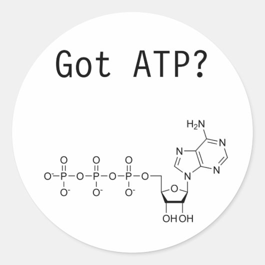 Got ATP? Runder Aufkleber (Vorderseite)