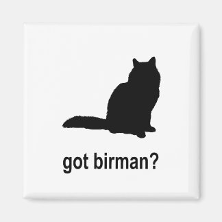 Got Birman? Magnet