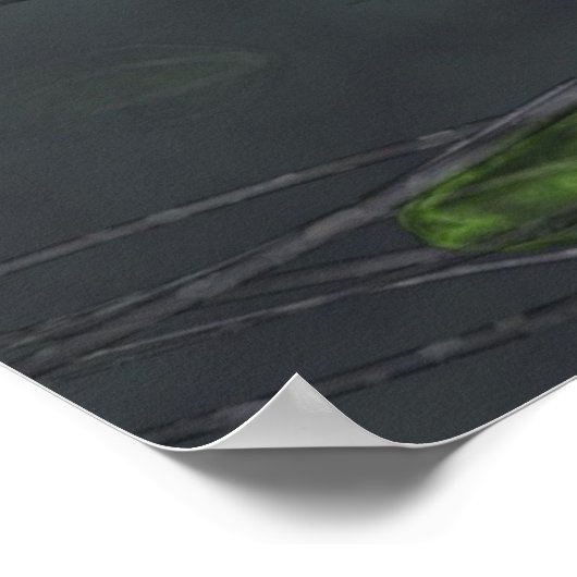 Got Bugs? Poster (Ecke)