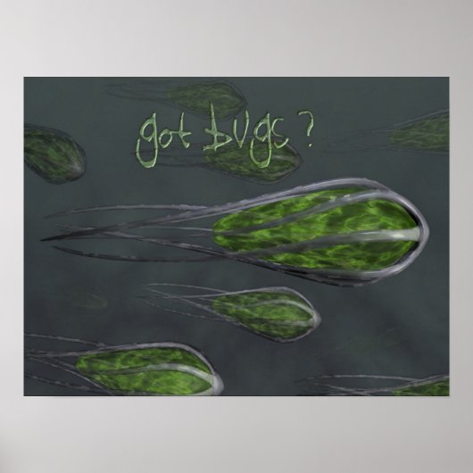 Got Bugs? Poster (Vorne)