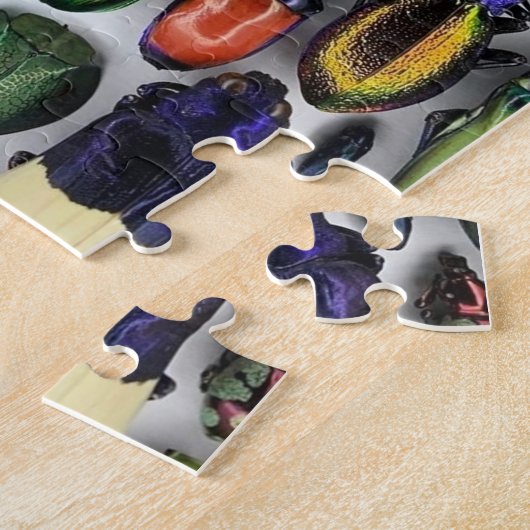 Got Bugs Puzzle (Seite)