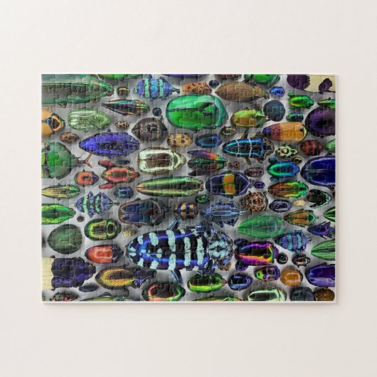 Got Bugs Puzzle (Horizontal)