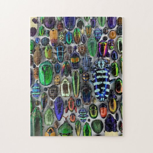 Got Bugs Puzzle (Vertikal)