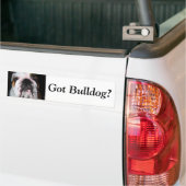 Got Bulldogge? Autoaufkleber (Auf Lkw)