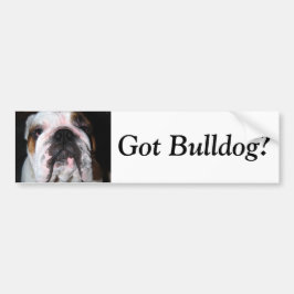 Got Bulldogge? Autoaufkleber