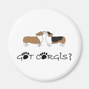 Got Corgis? Magnet