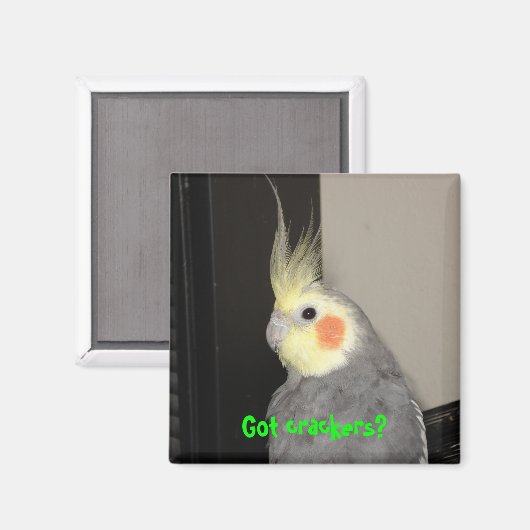 Got Cracker? Magnet (Vorderseite/Rückseite)